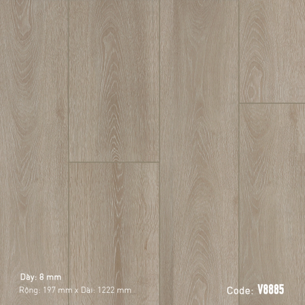 Sàn gỗ 3K VINA V8885