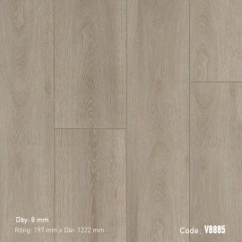 Sàn gỗ 3K VINA V8885