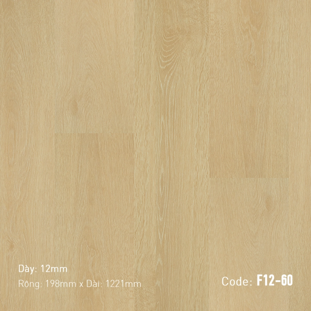 Sàn gỗ F12-60