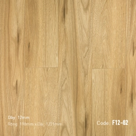 Sàn gỗ F12-62
