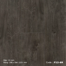 Sàn gỗ F12-69